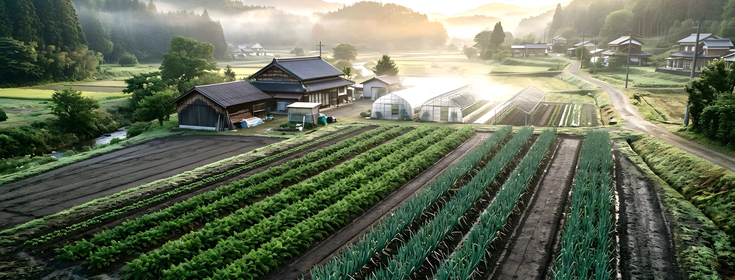 夜明けの農場を見おろした眺め。手前に葉物とネギの畝が斜めに走り、奥に農家とビニールハウス、山あいに朝もやが残っている